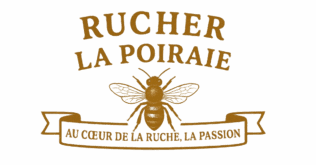 logo min transparent