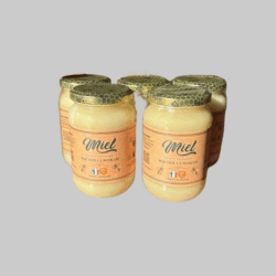lot de 5 pots de miel de printemps de 500g (livraison comprise)