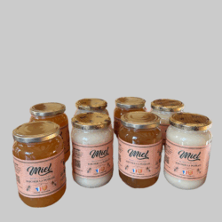 lot de 4 pots de miel d'été et 4 printemps de 500g (livraison comprise)